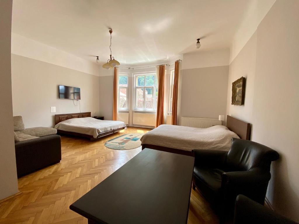 Гостевой дом Casa Balcescu Брашов-52