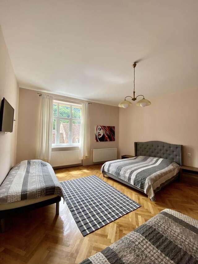 Гостевой дом Casa Balcescu Брашов-17